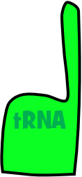 tRNA