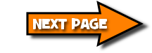 NEXT PAGE