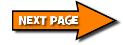 NEXT PAGE