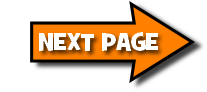 NEXT PAGE